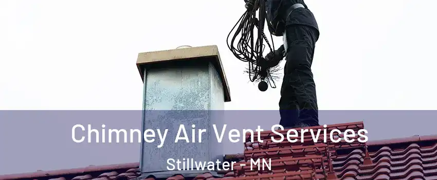  Chimney Air Vent Services Stillwater - MN