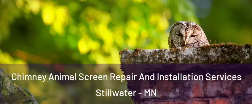  Chimney Animal Screen Repair And Installation Services Stillwater - MN