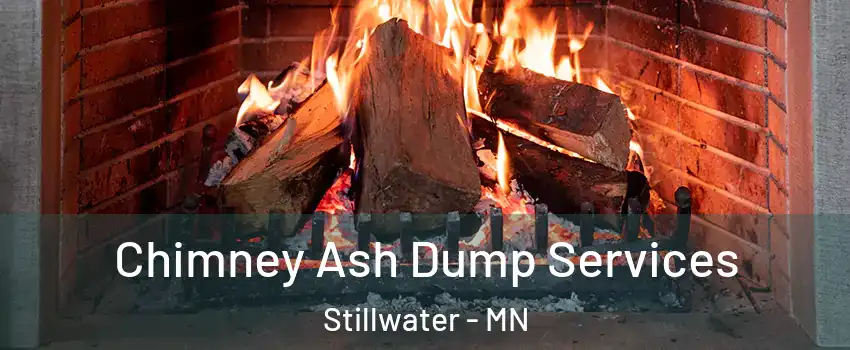  Chimney Ash Dump Services Stillwater - MN