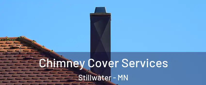  Chimney Cover Services Stillwater - MN