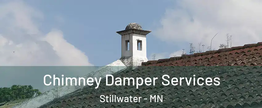  Chimney Damper Services Stillwater - MN