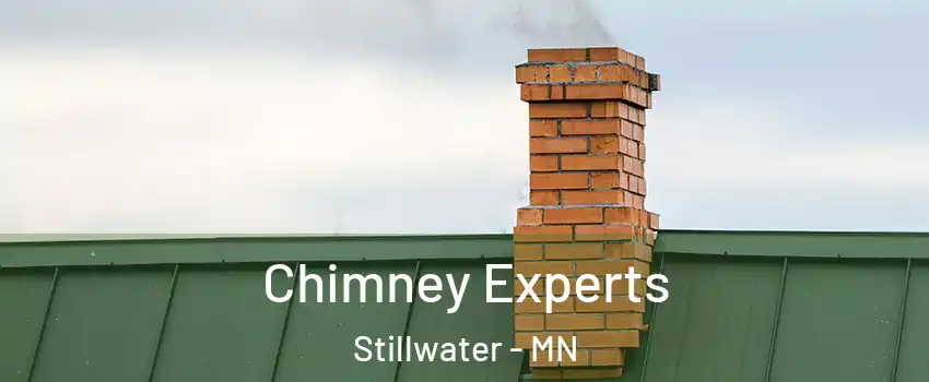 Chimney Experts Stillwater - MN