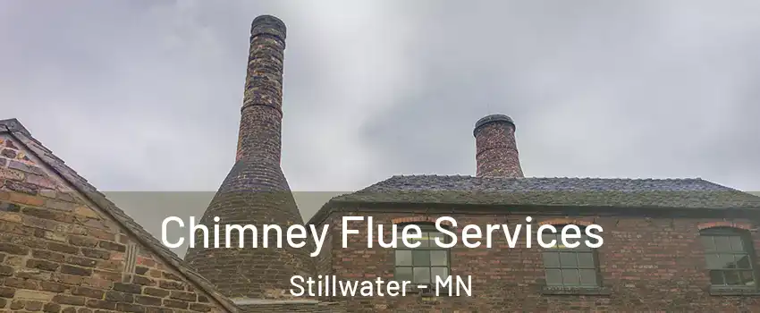  Chimney Flue Services Stillwater - MN