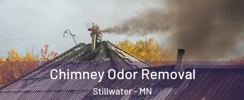  Chimney Odor Removal Stillwater - MN