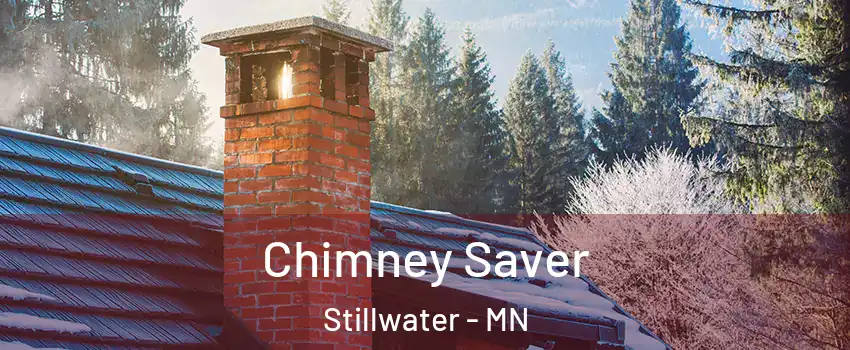  Chimney Saver Stillwater - MN