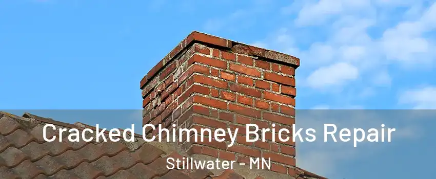  Cracked Chimney Bricks Repair Stillwater - MN
