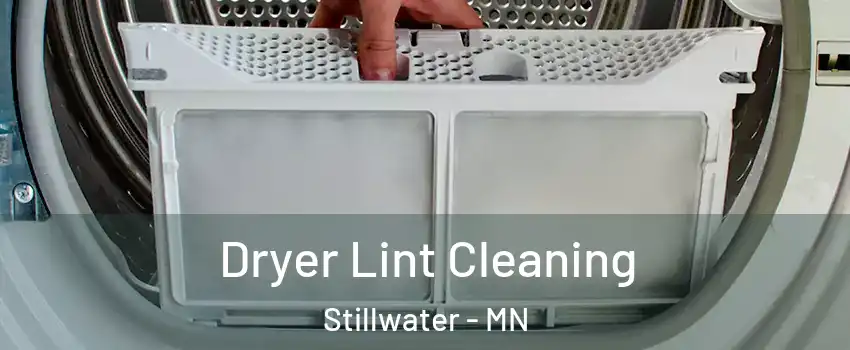  Dryer Lint Cleaning Stillwater - MN