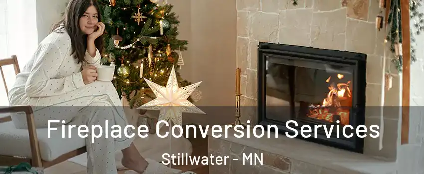  Fireplace Conversion Services Stillwater - MN