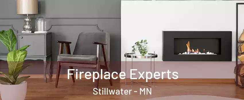  Fireplace Experts Stillwater - MN