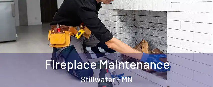  Fireplace Maintenance Stillwater - MN
