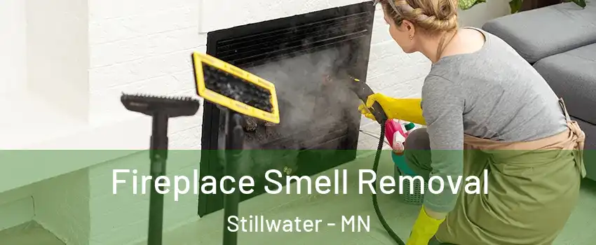  Fireplace Smell Removal Stillwater - MN