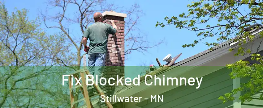  Fix Blocked Chimney Stillwater - MN