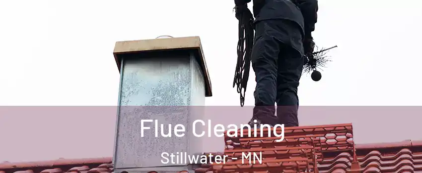  Flue Cleaning Stillwater - MN