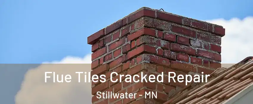  Flue Tiles Cracked Repair Stillwater - MN