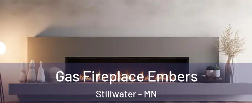  Gas Fireplace Embers Stillwater - MN