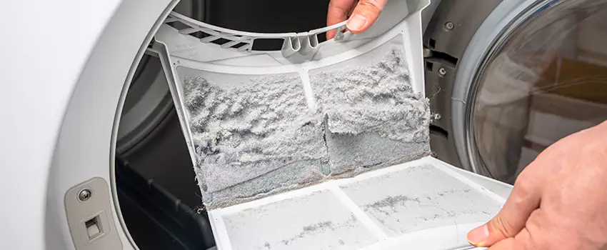 Best Dryer Lint Removal Company in Stillwater, Minnesota