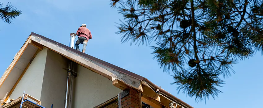Birds Removal Contractors from Chimney in Stillwater, MN