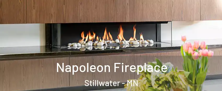  Napoleon Fireplace Stillwater - MN
