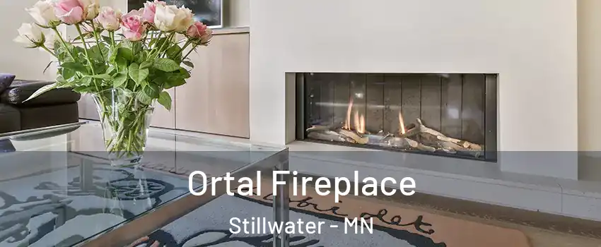  Ortal Fireplace Stillwater - MN