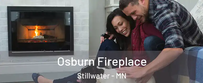  Osburn Fireplace Stillwater - MN