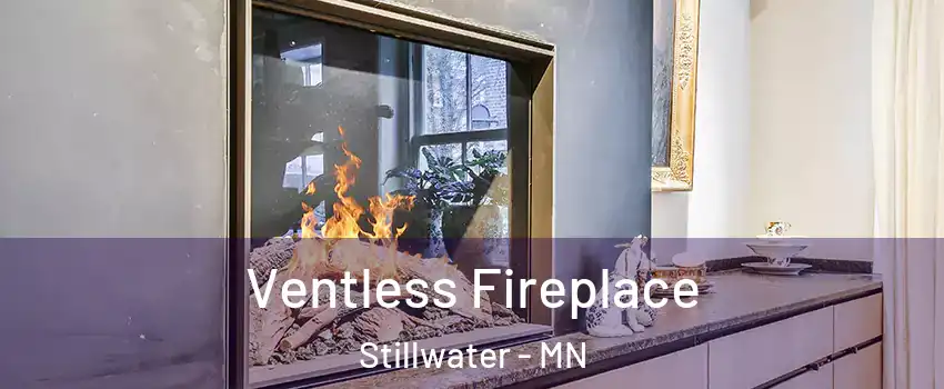  Ventless Fireplace Stillwater - MN